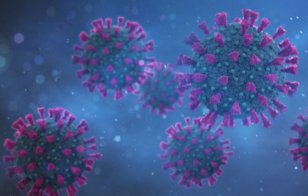Coronavirus en una imagen generada con un ordenador. 