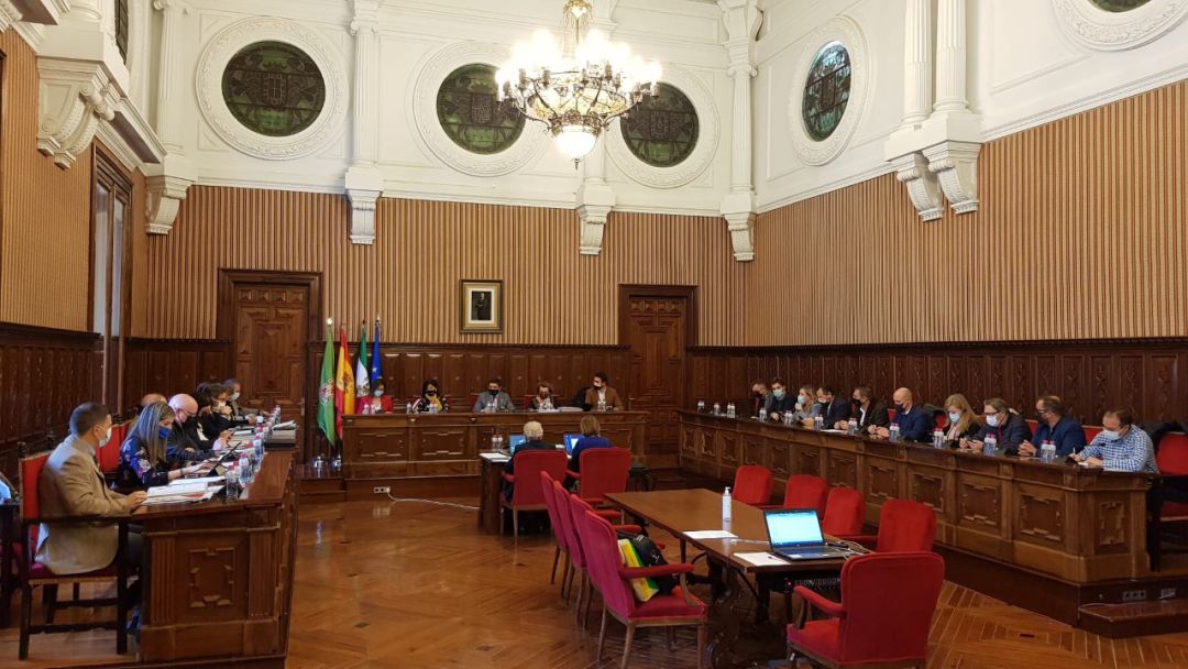 Pleno Diputación de Jaén 29 de noviembre.