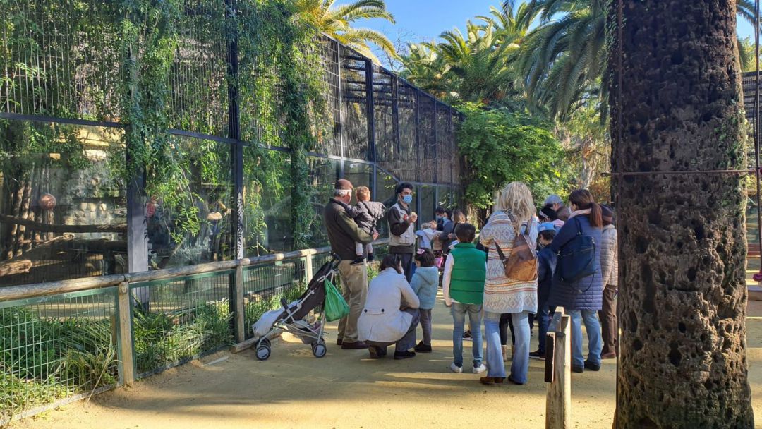 Un grupo de visitantes en el Zoo de Jerez