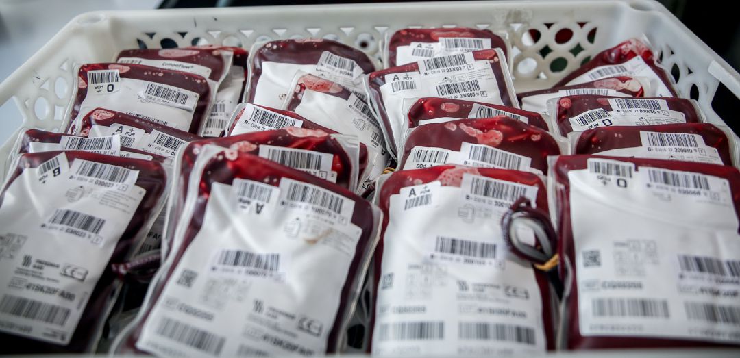 Bolsas de sangre en el laboratorio del centro de Transfusión de Valdebernardo.